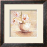 Buy Cup of White Tulips at AllPosters.com