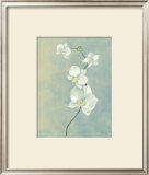 Buy Blue Orchid Stem at AllPosters.com