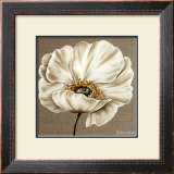 Buy Rose Blanche at AllPosters.com