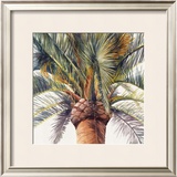 Buy Roma Palm at AllPosters.com