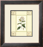 Cinnamon with Mosaic