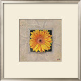 Buy Flower IV at AllPosters.com