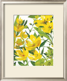 Buy Yellow Border Beauty at AllPosters.com