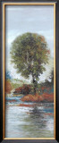 Country Maple