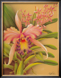 Buy Pink Cattleya at AllPosters.com