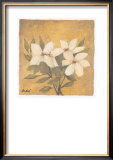 Buy Elegant III at AllPosters.com