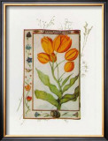 Buy Botanics of 17th Century I at AllPosters.com