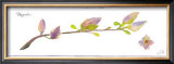 Buy Magnolia Branch at AllPosters.com