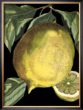 Fragrant Citrus I