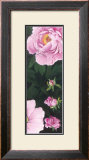 Time of Flowering II