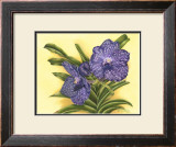 Buy Vibrant Orchid III at AllPosters.com