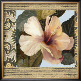 Buy Hibiscus II at AllPosters.com
