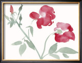 Buy Roses at AllPosters.com