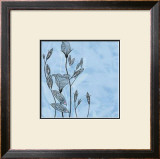 Buy Cosmopolitain Blue II at AllPosters.com