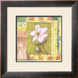 Buy Magnolia Bloom at AllPosters.com