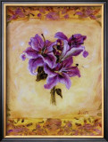 Lily Violeta