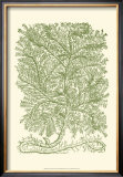 Buy Mossy Branches IV at AllPosters.com