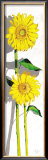 Buy Girasoles I at AllPosters.com