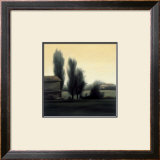 Buy Farm in Emilia Romagna at AllPosters.com