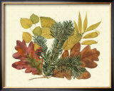 Buy White Oak, Balsam Fir and Yellow Birch at AllPosters.com