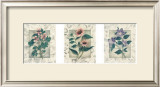 Buy Healing Herbs, Panel II at AllPosters.com