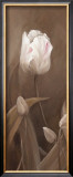Buy Sepia Tulip Panel I at AllPosters.com