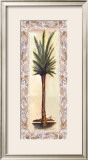 Palm IV