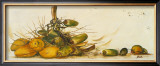 Buy Racimo de Cocos III at AllPosters.com