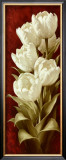 Magnificent Tulips II
