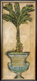 Potted Palm IV Framed Art Print