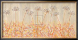Buy Allium Panel I at AllPosters.com