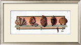 Buy Collection of Shells II at AllPosters.com