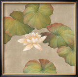Buy Lotus Impressions II at AllPosters.com