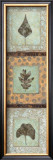 Buy Leaf Study II at AllPosters.com