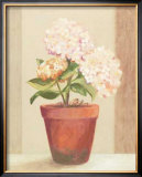 Buy Hydrangeas in Red Pot at AllPosters.com