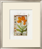 Buy Botanics of 17th Century I at AllPosters.com