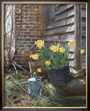 Buy Sunning Daffodils at AllPosters.com