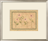 Buy Antique Floral at AllPosters.com