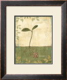 Buy Grow and Bloom I at AllPosters.com