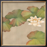 Buy Lotus Impressions I at AllPosters.com