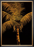 Buy Palm Oro at AllPosters.com