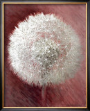 Buy Dandelion Clock I at AllPosters.com