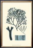 Buy Azure Seaweed IV at AllPosters.com