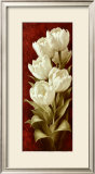 Magnificent Tulips II