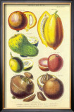 Buy History of the Vegetable Kingdom I at AllPosters.com