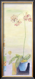 Buy Untitled at AllPosters.com
