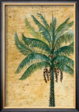 Buy Moroccan Ecstasy at AllPosters.com