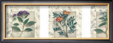 Buy Healing Herbs, Panel I at AllPosters.com
