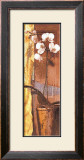 Buy Ode to Anna II at AllPosters.com