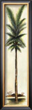 Palm III